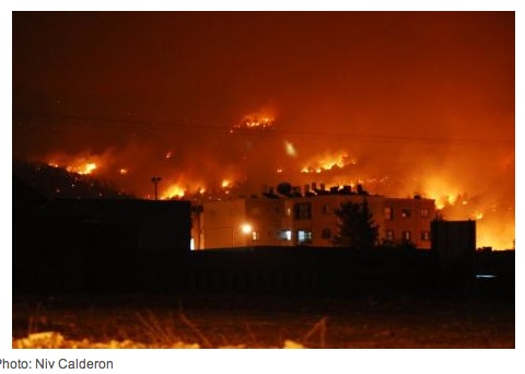 Leesvoer over Palestina/Israël