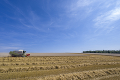 tractor op veld