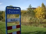 Duiven