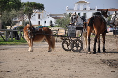 spanje 2010