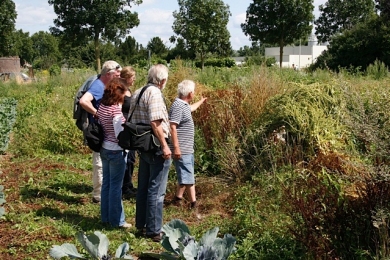 alttekst ontbreekt in origineel bericht