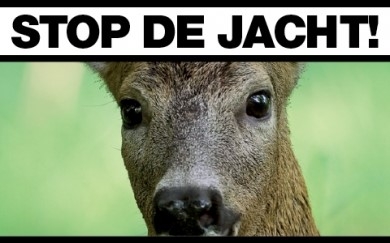 alttekst ontbreekt in origineel bericht