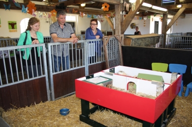 alttekst ontbreekt in origineel bericht